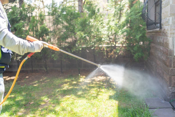 Best Pest Control Near Me in Lake Cassidy, WA