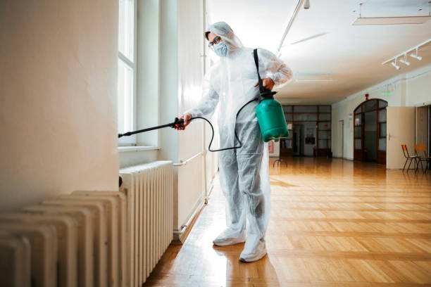 Best Affordable Pest Control Services  in Lake Cassidy, WA